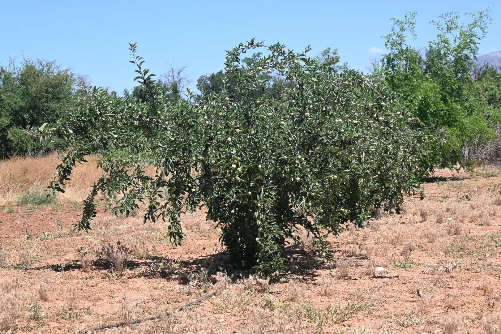 Terreni e lotti in vendita a Albolote, imagen 22