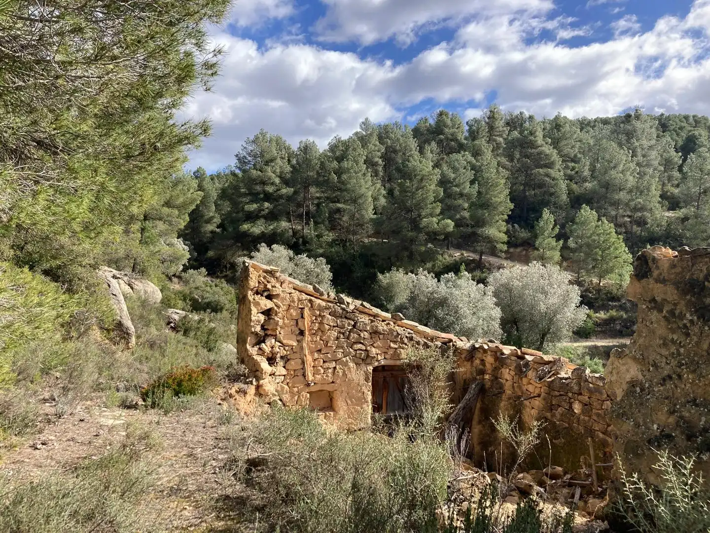 Terreni e lotti in vendita a Arens de Lledó, imagen 2