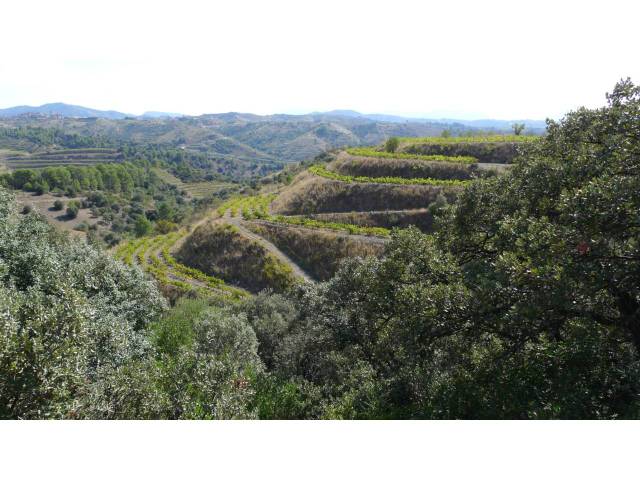 Terreno en Venta en Lloa en El Lloar