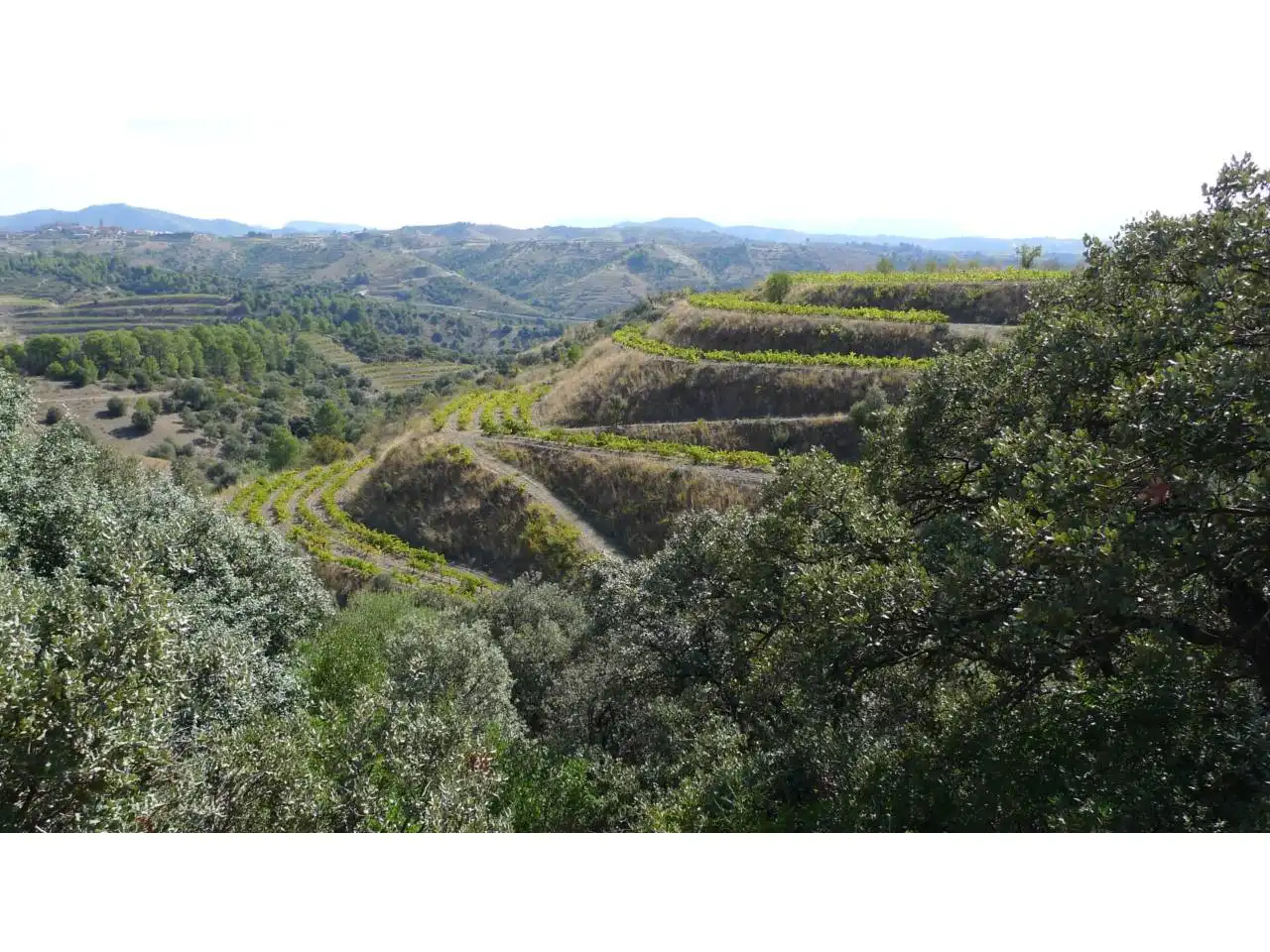 Rural land for sale in Calle Lloa