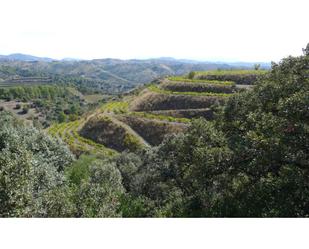 Land for sale in El Lloar