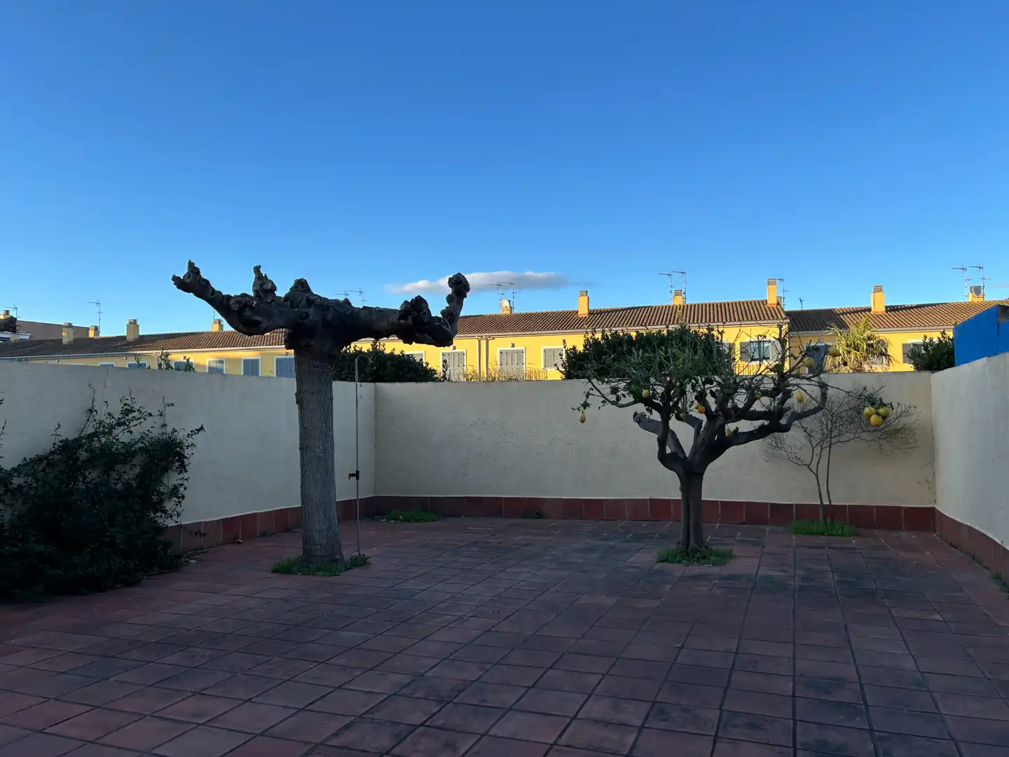 Detached homes for sale in Carrer Provença, Sant Pere Pescador