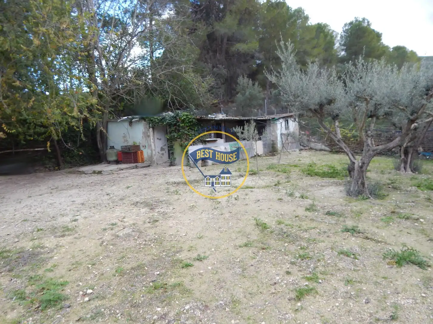 Villa avec jardin à vendre à Sant Josep - Zona Hospital, imagen 33