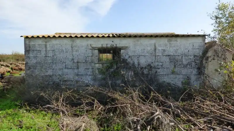 Vista exterior de Nave industrial en venta en Puebla de la Calzada