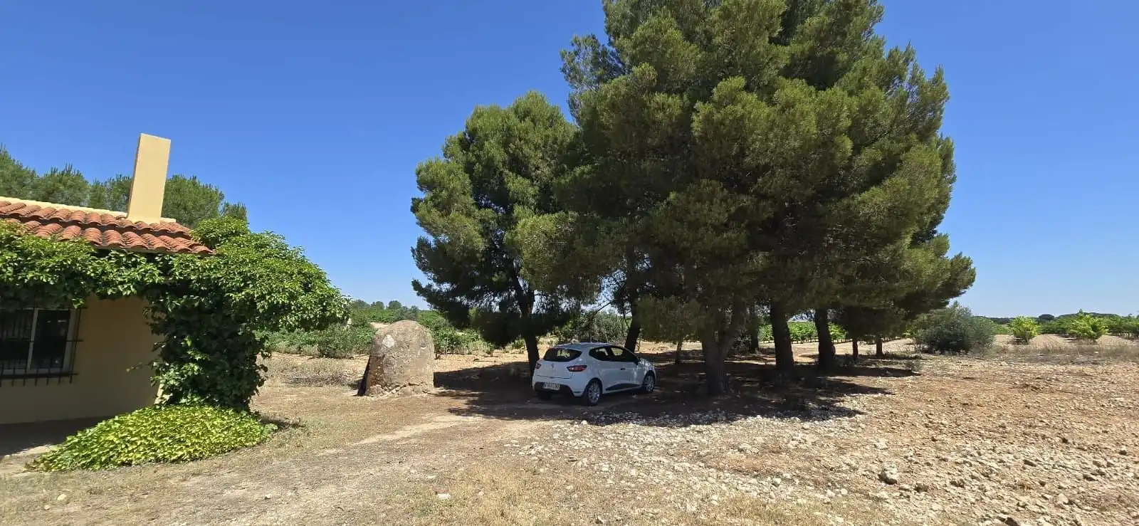 Casa rústica en venda a Villarrobledo, imagen 40
