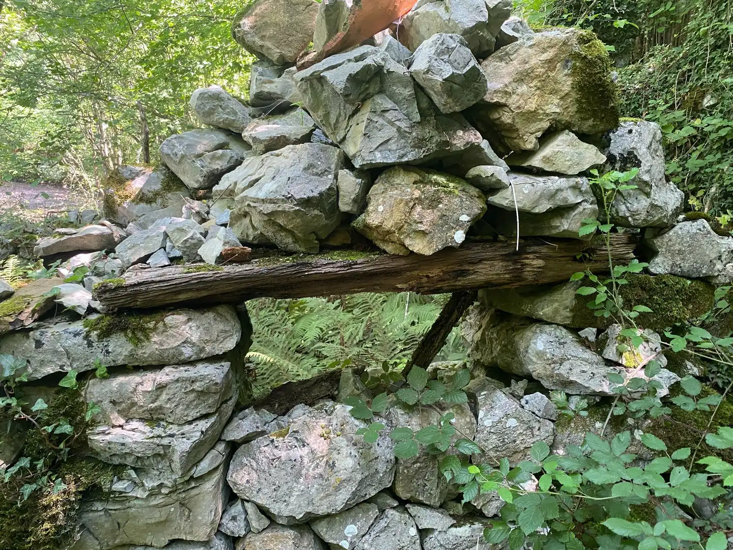 Terreno rustico in vendita a SEGÜENCO, imagen 20