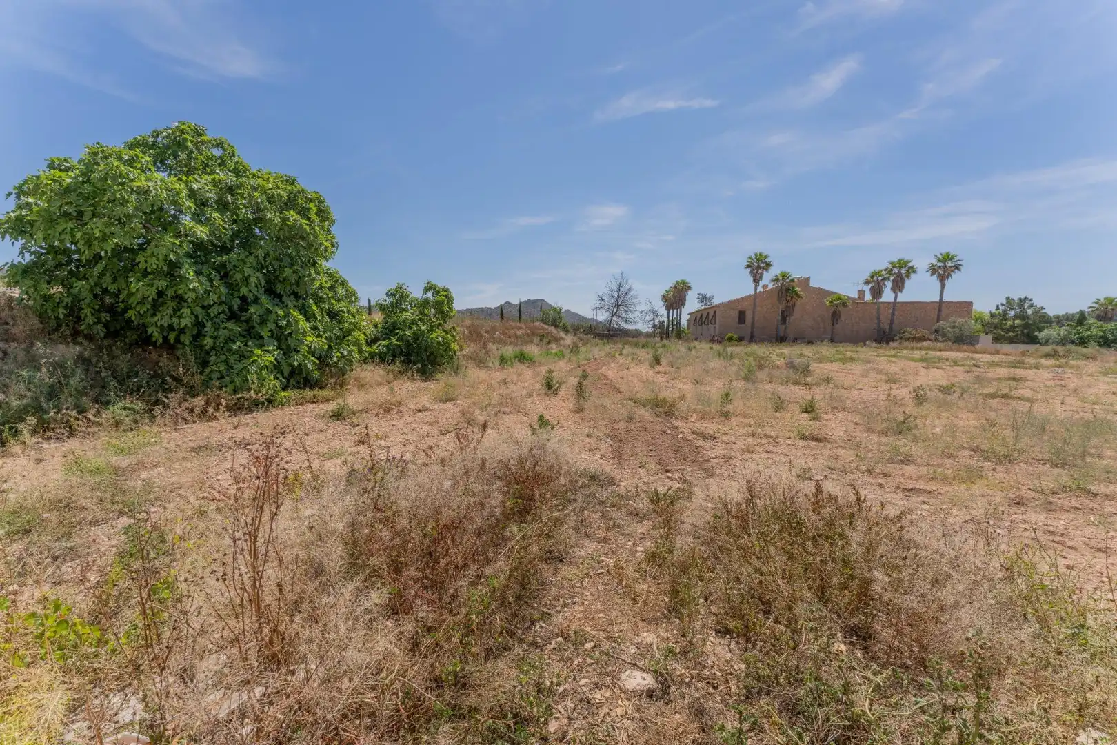 Casa o chalet en venta en Aspe