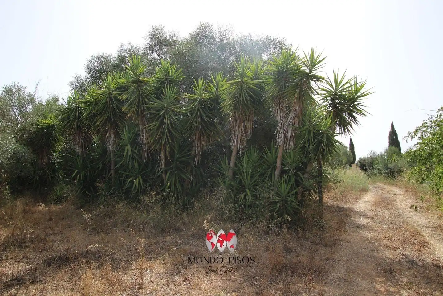 Finca rústica en venda en Santa Eugènia amb Calefacció, Jardí privat i Parquet