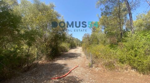 Foto 4 de Terreno en venta en Ciutat d'Alcúdia, Alcúdia