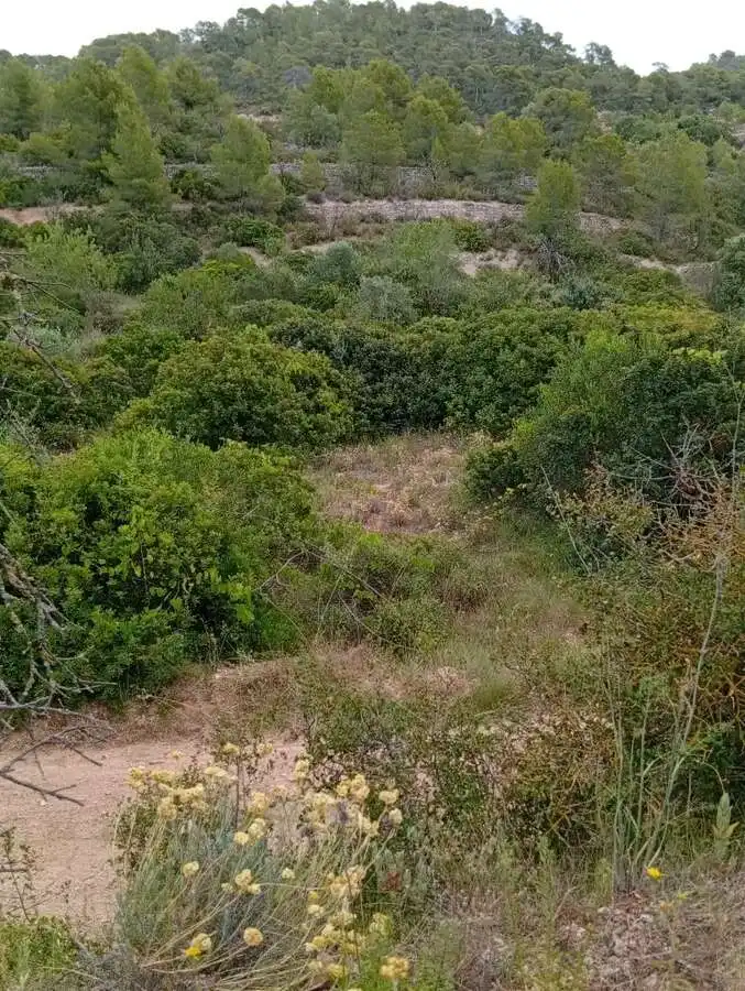 Piso en venta en Corbera d'Ebre