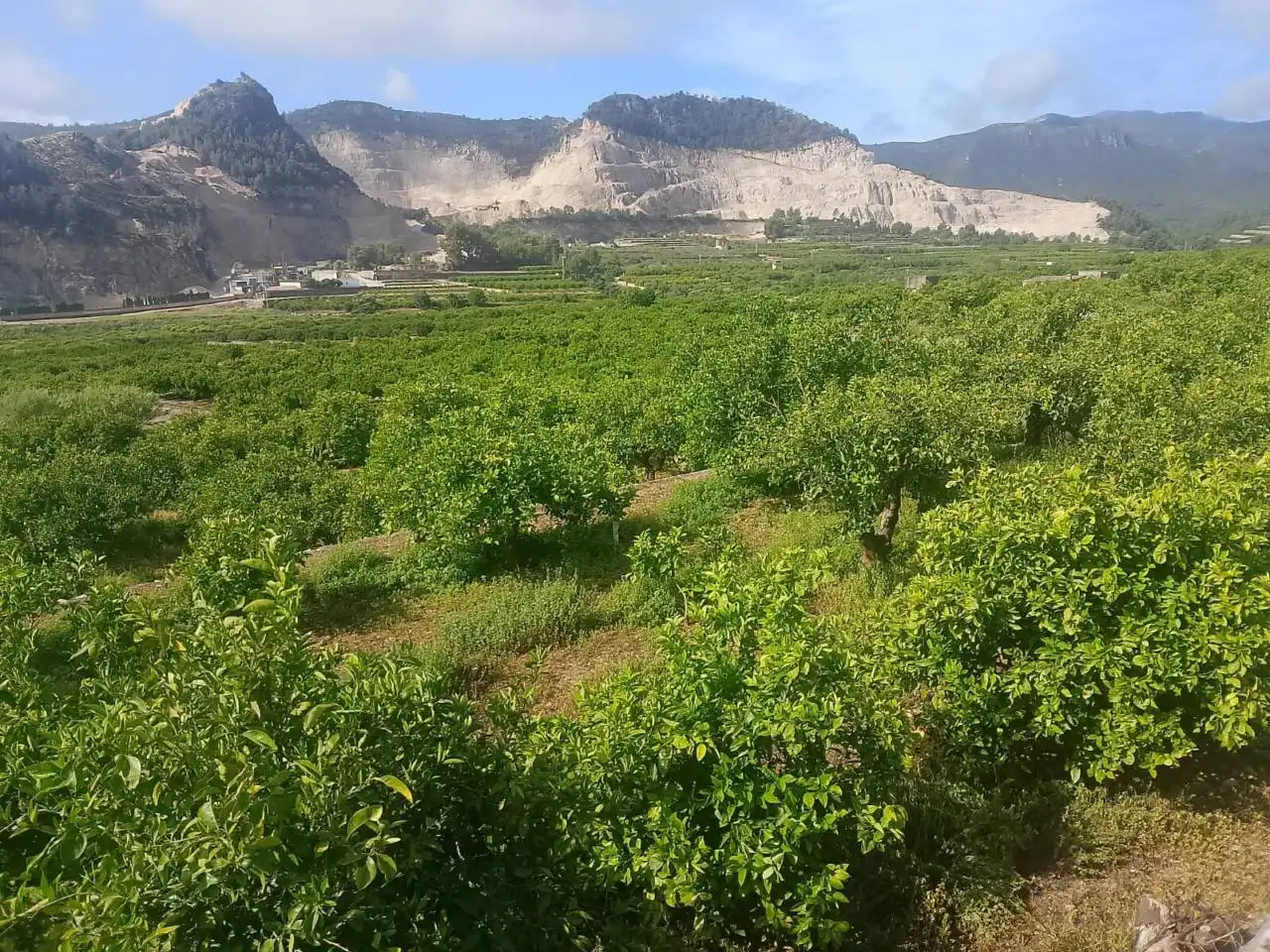 Land for sale in L'Atzúbia