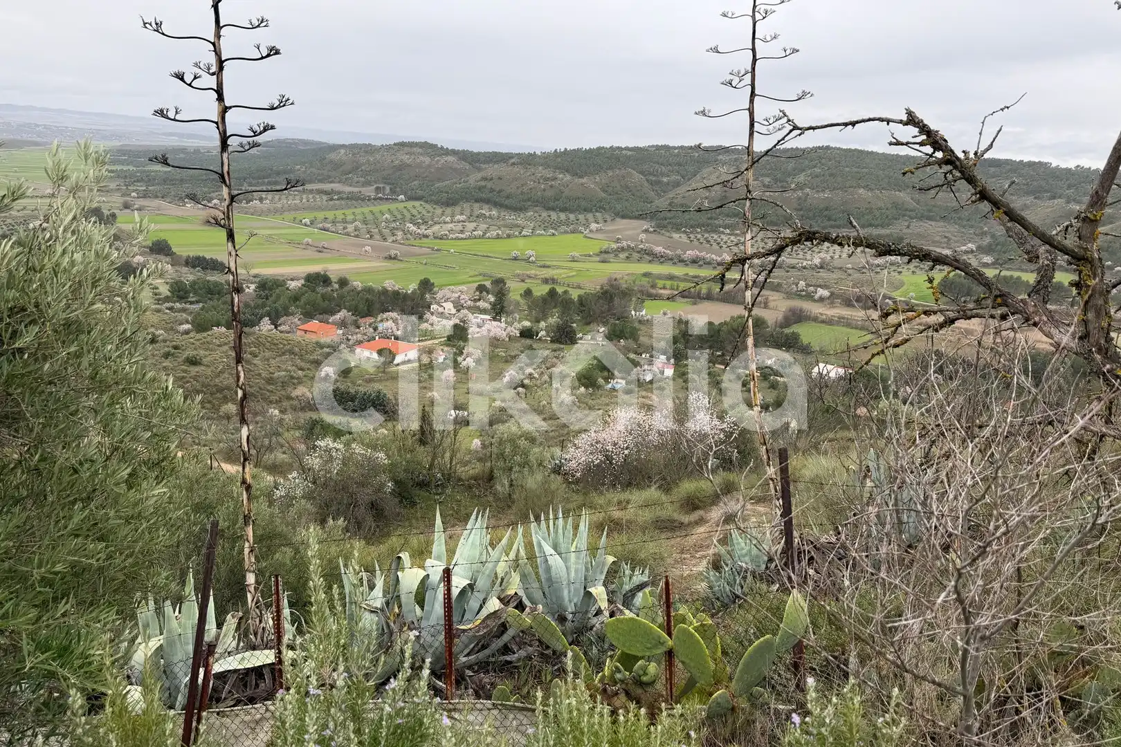 Casa o chalet en venta en Brea de Tajo con Terraza y Piscina