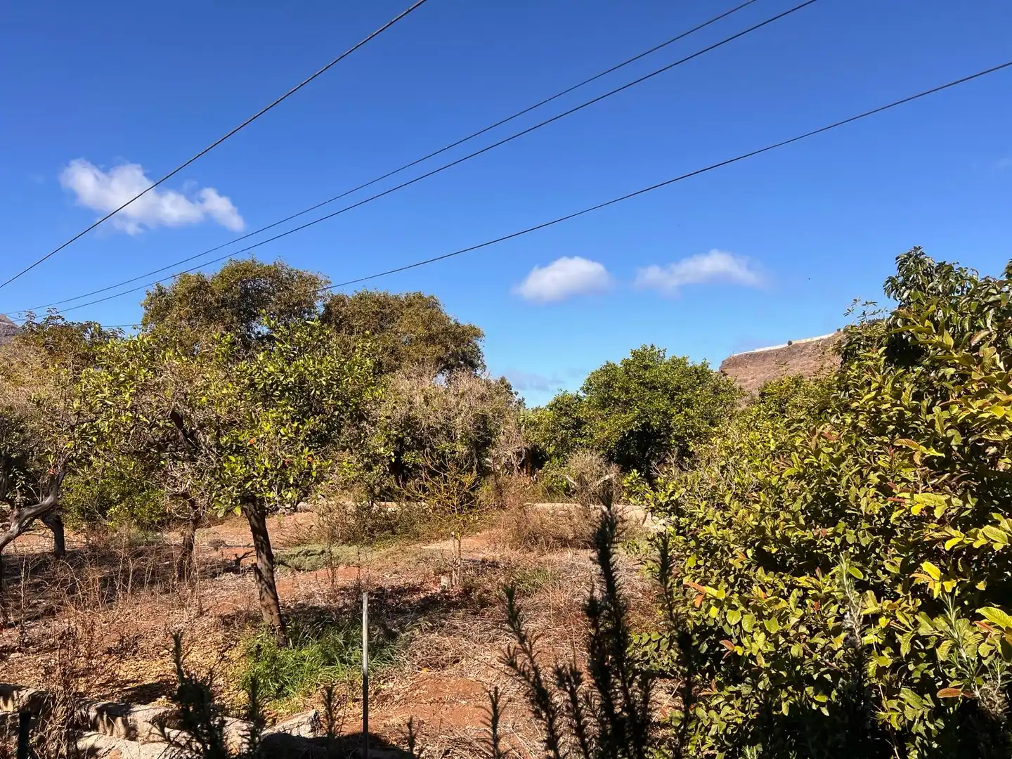 Casa rústica con jardín en venta en La Aldea de San Nicolás, imagen 41