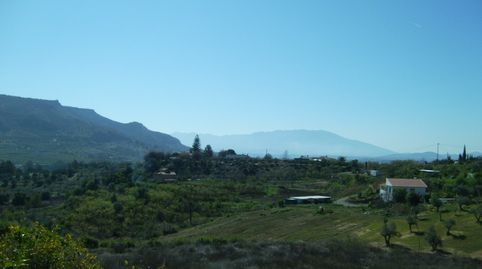 FINCA PARCELA EN VENTA EN ALORA, immagine 5