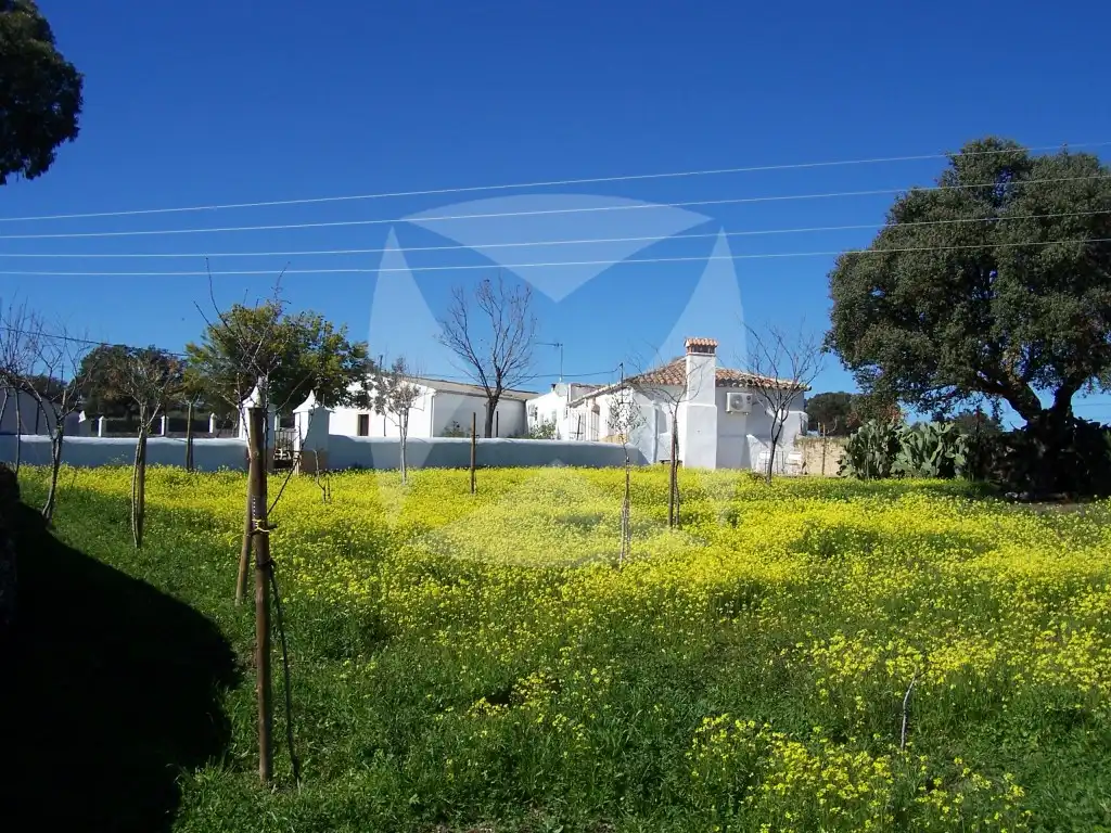 Casa o xalet en venda en Monroy