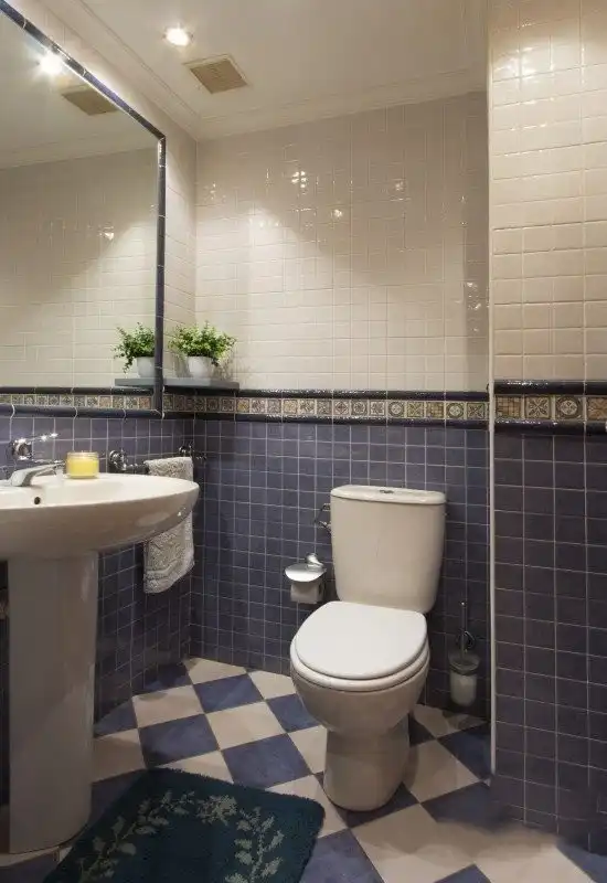 Maison avec jardin à vendre à Calle Pinar, imagen 15