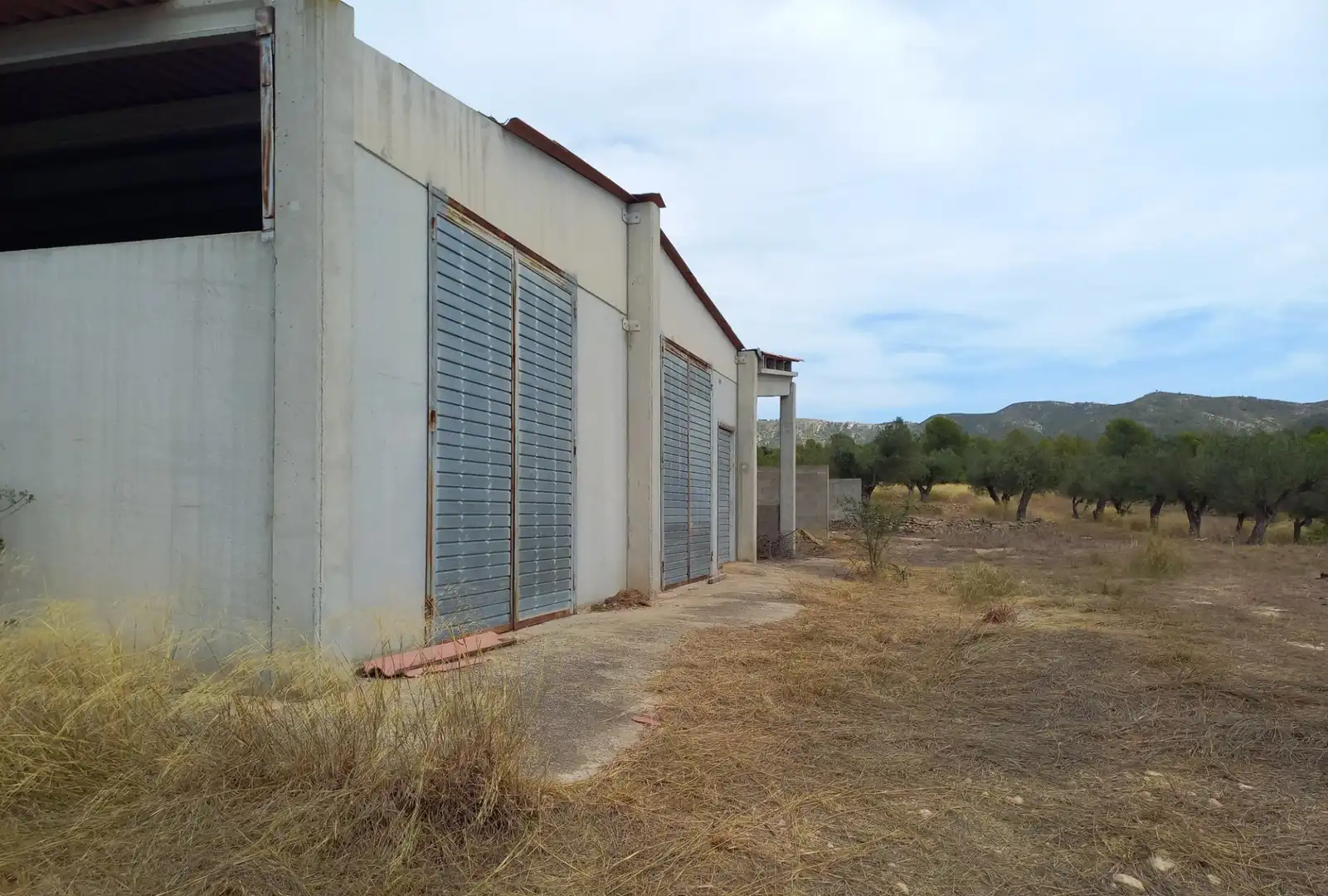 Vista exterior de Finca rústica en venta en Tivissa