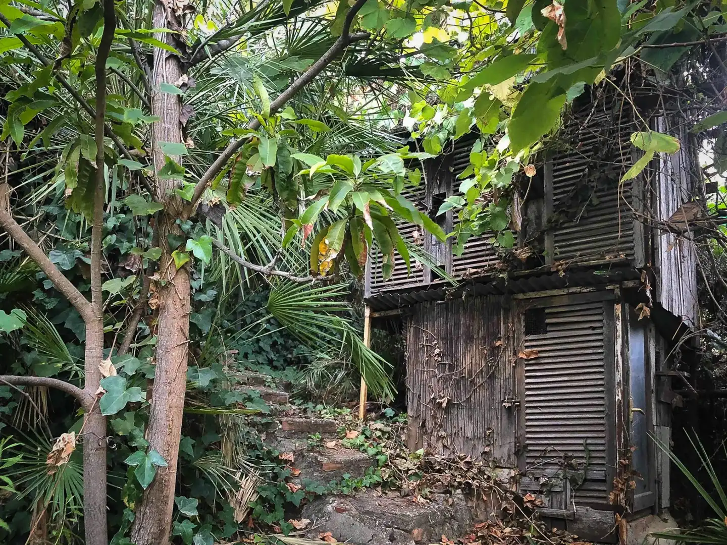 Vista exterior de Casa o chalet en venta en Benahavís con Aire acondicionado, Jardín privado y Terraza