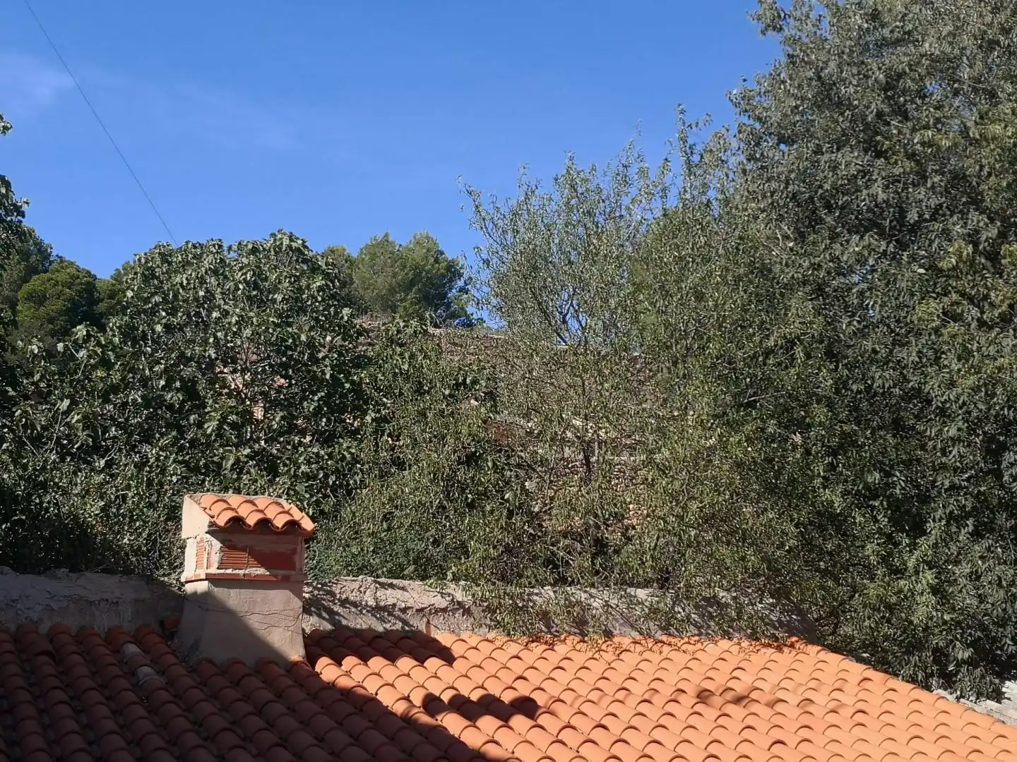 Jardín de Casa adosada en venta en Montesa con Trastero