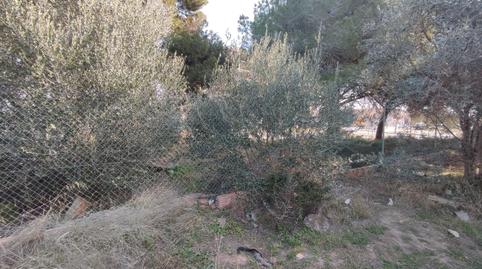 Foto 3 de Residencial en venda a Carrer del Papa Joan XXIII, 15, Centro Comercial - Capsades -  Hospital, Vinaròs