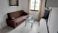 Living room of Study for sale in Collado Villalba  with Heating, Parquet flooring and Terrace
