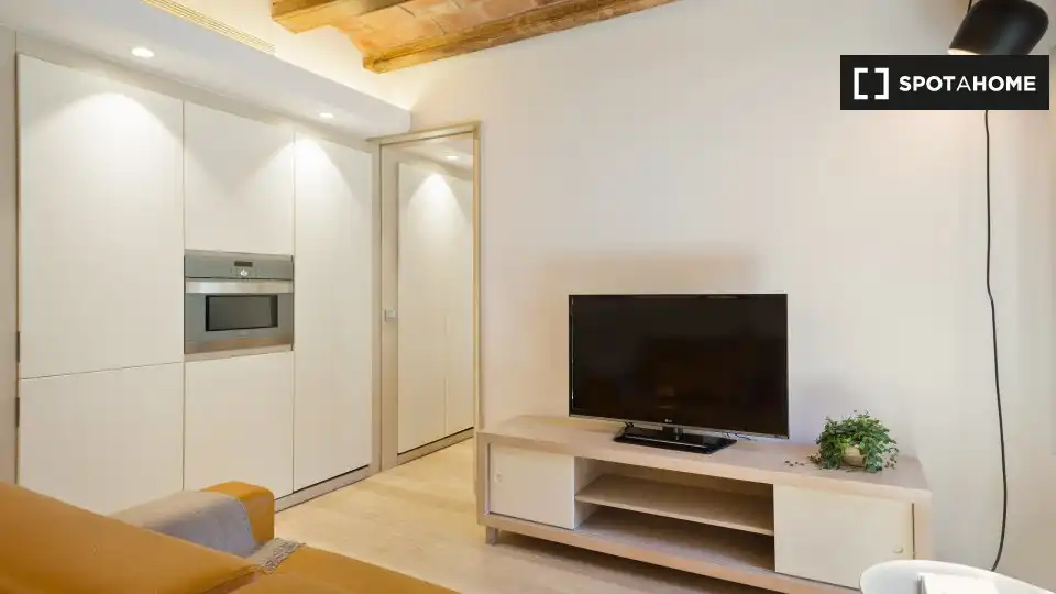 Flat with terrace to rent in Ciutat Vella, imagen 5