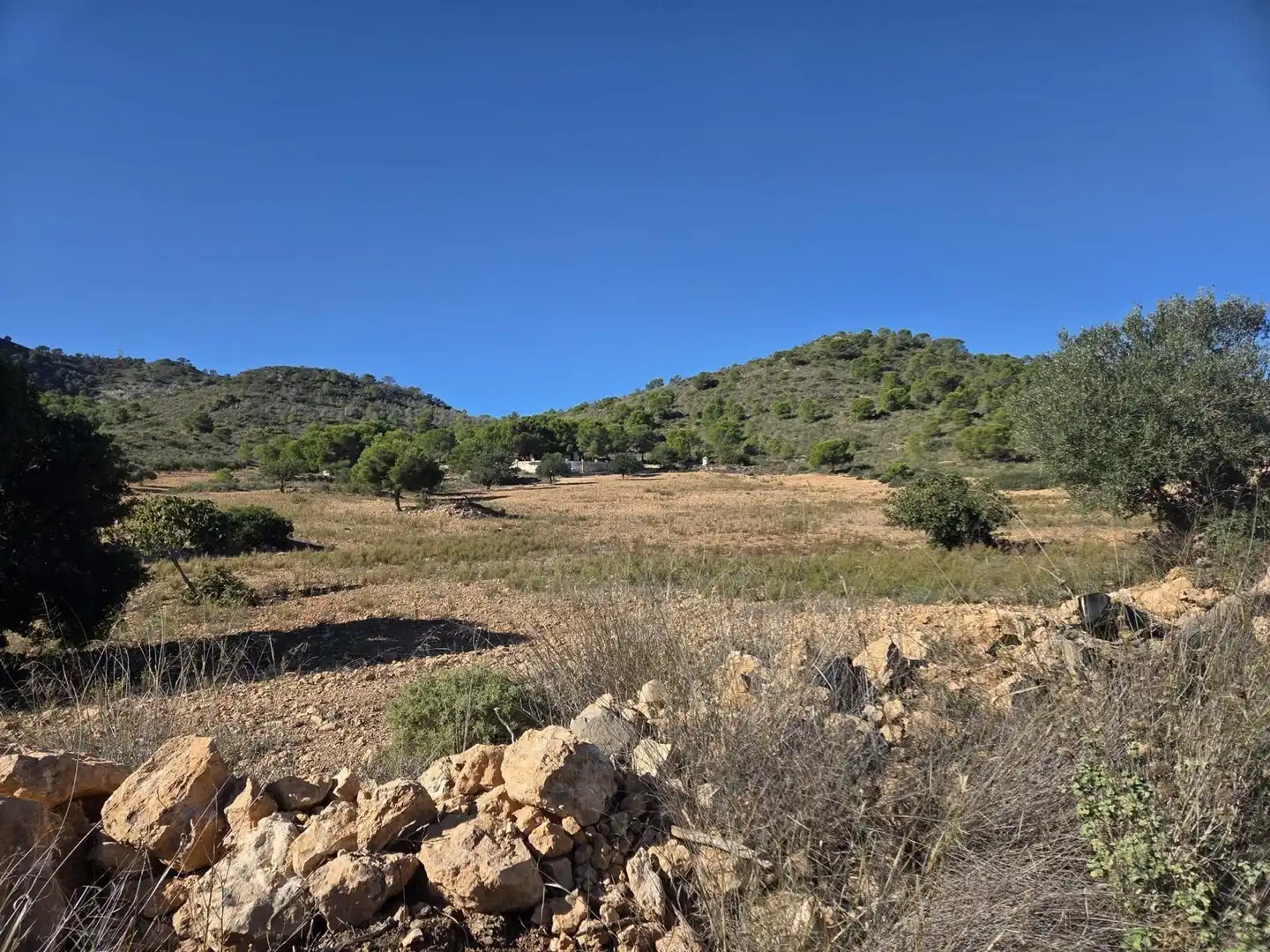 Lands and plots for sale in Diputación de Vizcaino, imagen 16