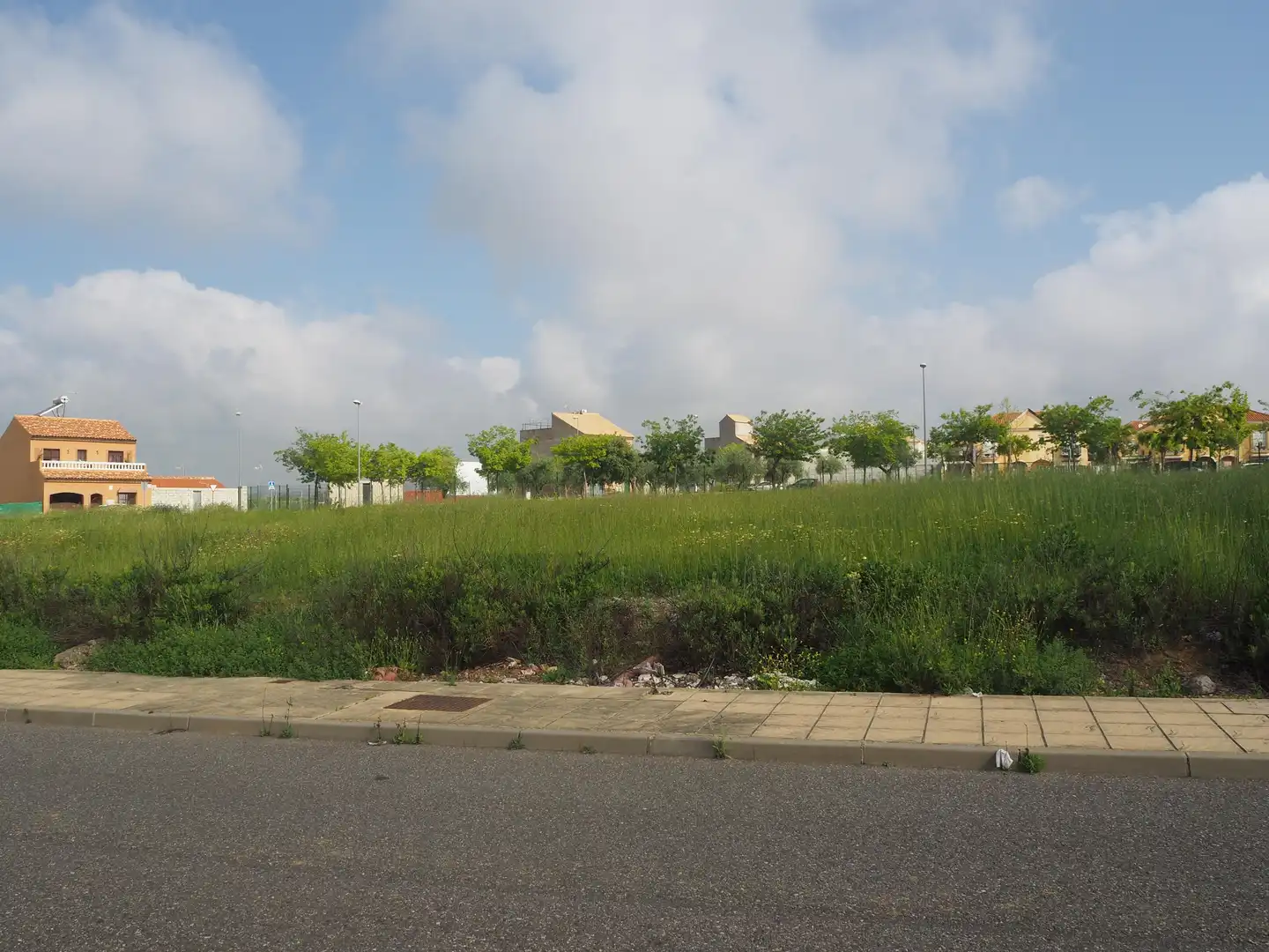Terrenys i solars en venda a CL MENTA, imagen 8