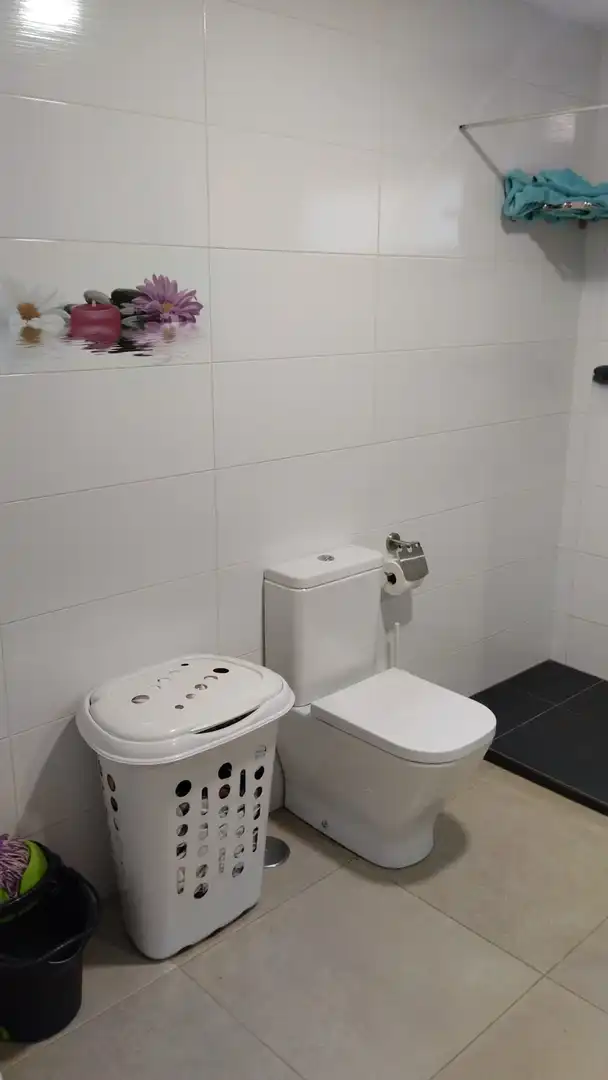 Bany de Casa o xalet en venda en Carrión de Calatrava amb Jardí privat, Terrassa i Piscina