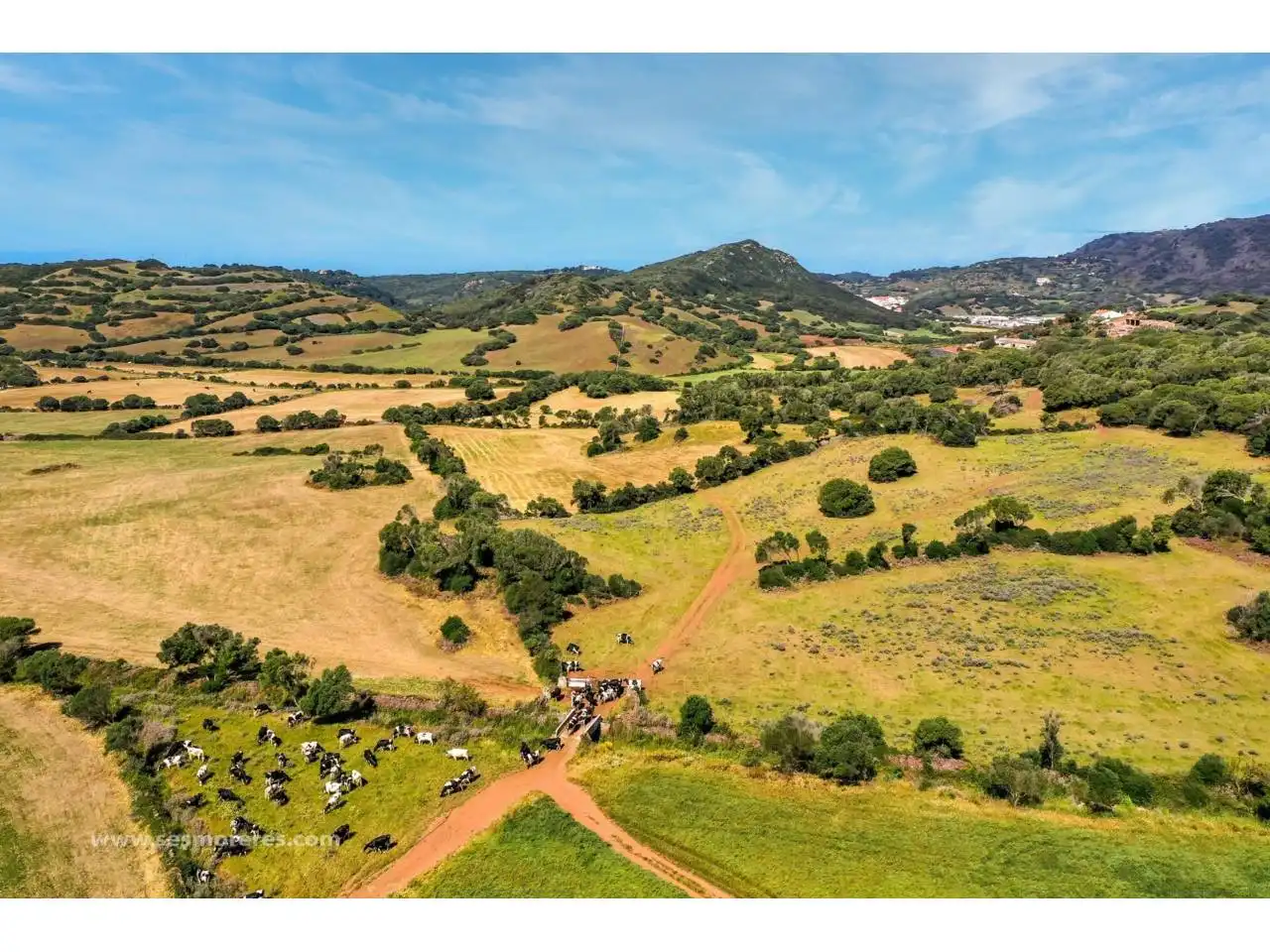 Rural land for sale in Ciutadella, imagen 13