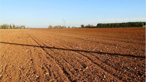 SE VENDE FINCA DE REGADÍO, immagine 3