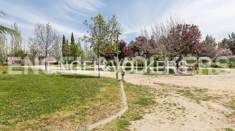 Foto 5 de Casa o xalet de lloguer a Conde Orgaz - Piovera, Madrid Capital