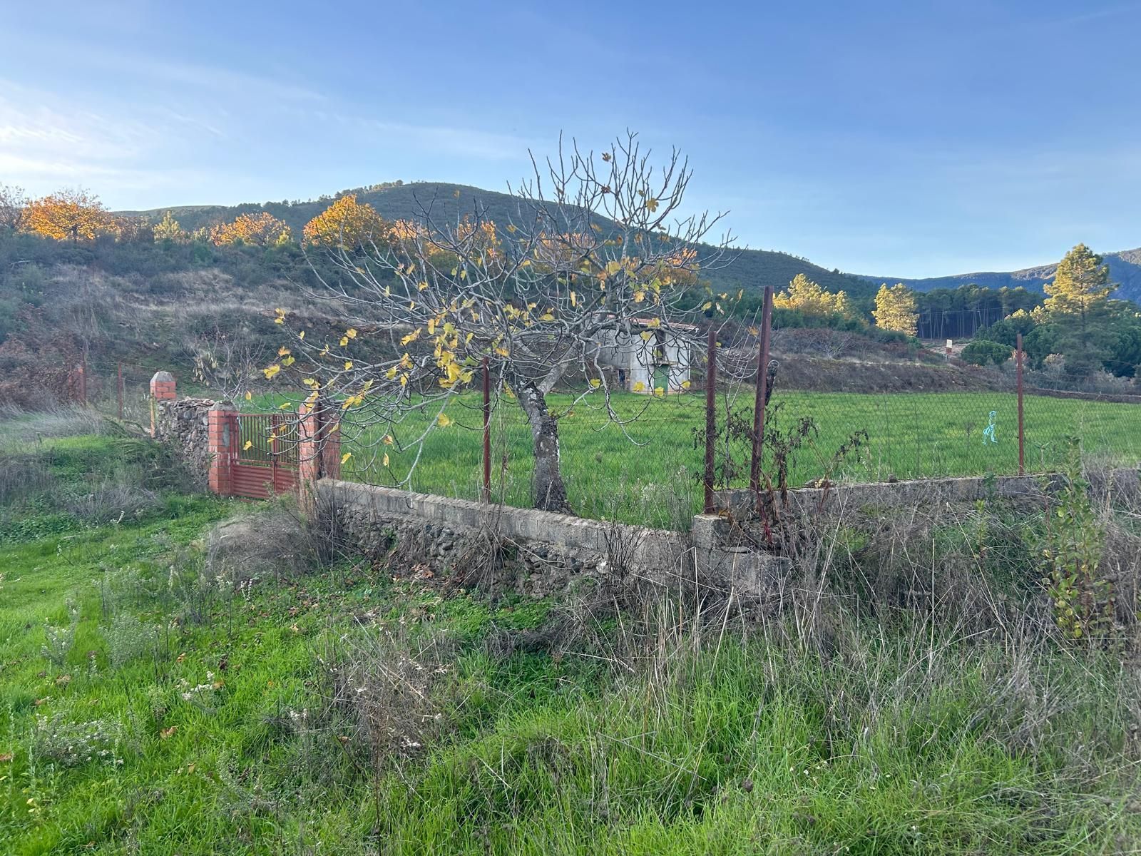 Terreno en venta en Santibáñez el Alto