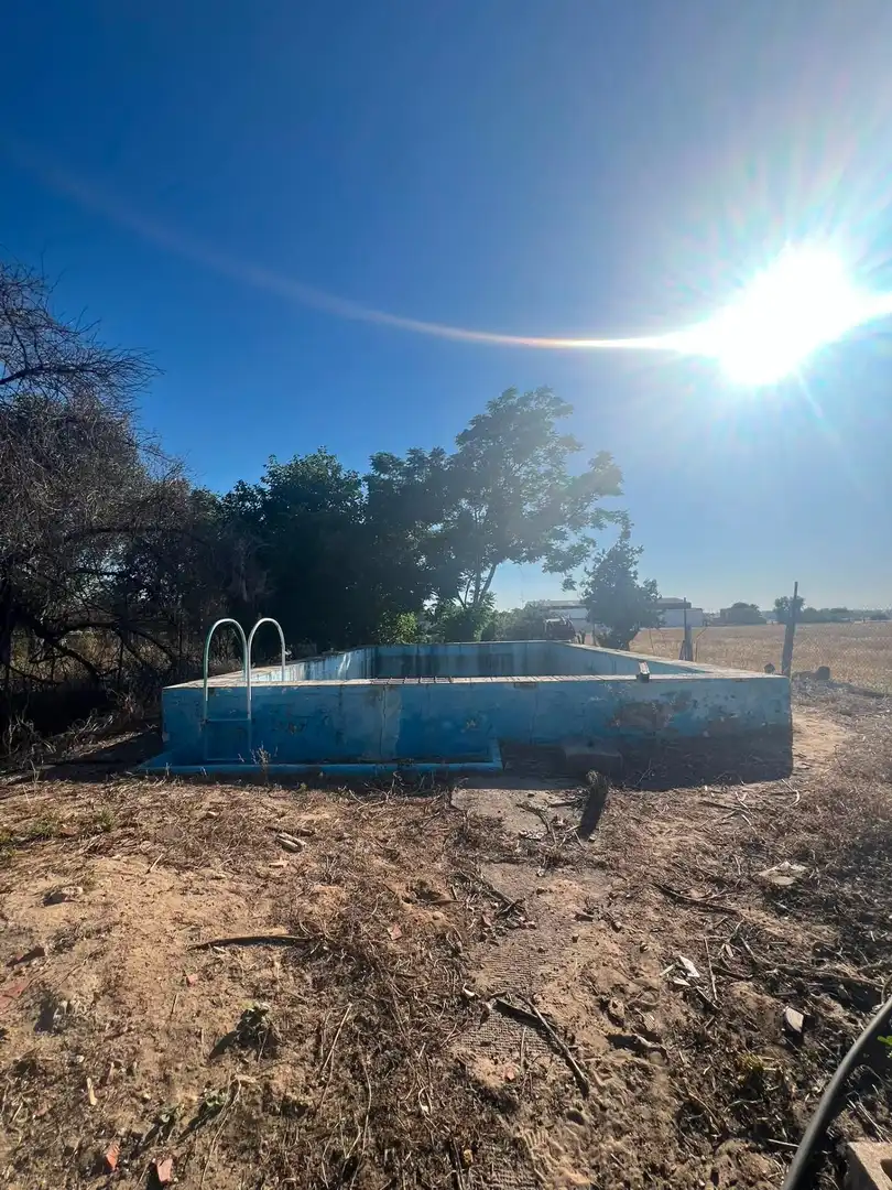Piscina de Casa o chalet en venta en Los Palacios y Villafranca