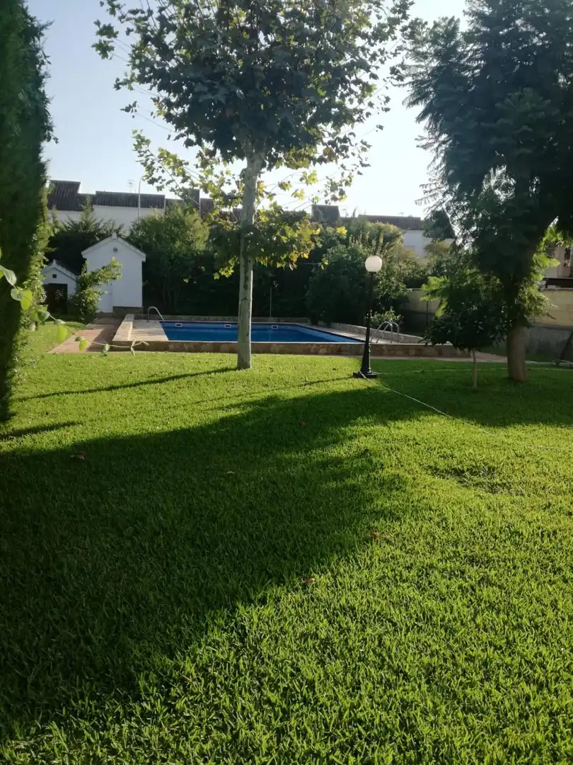 Houses for sale in Bonanza - Avda de Huelva - Barrio Andalucia