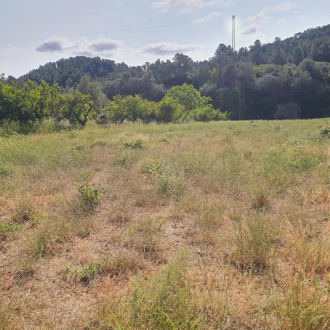 Terrain rustique à vendre à Rasquera, imagen 14