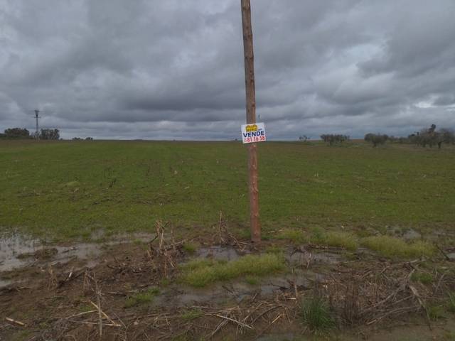 Terreno en Venta en Mengabril