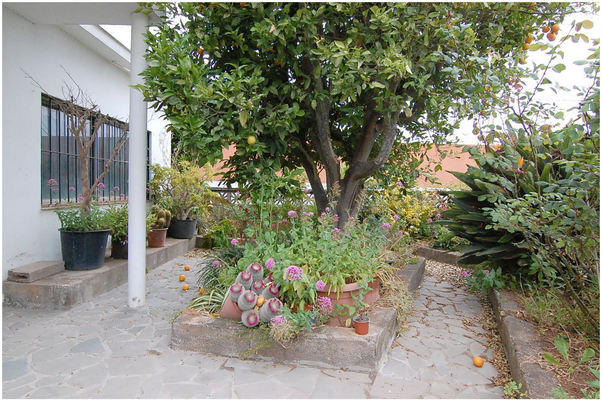 Casa o chalet en venta en Calle Bethencourt, La Esperanza - Llano del Moro