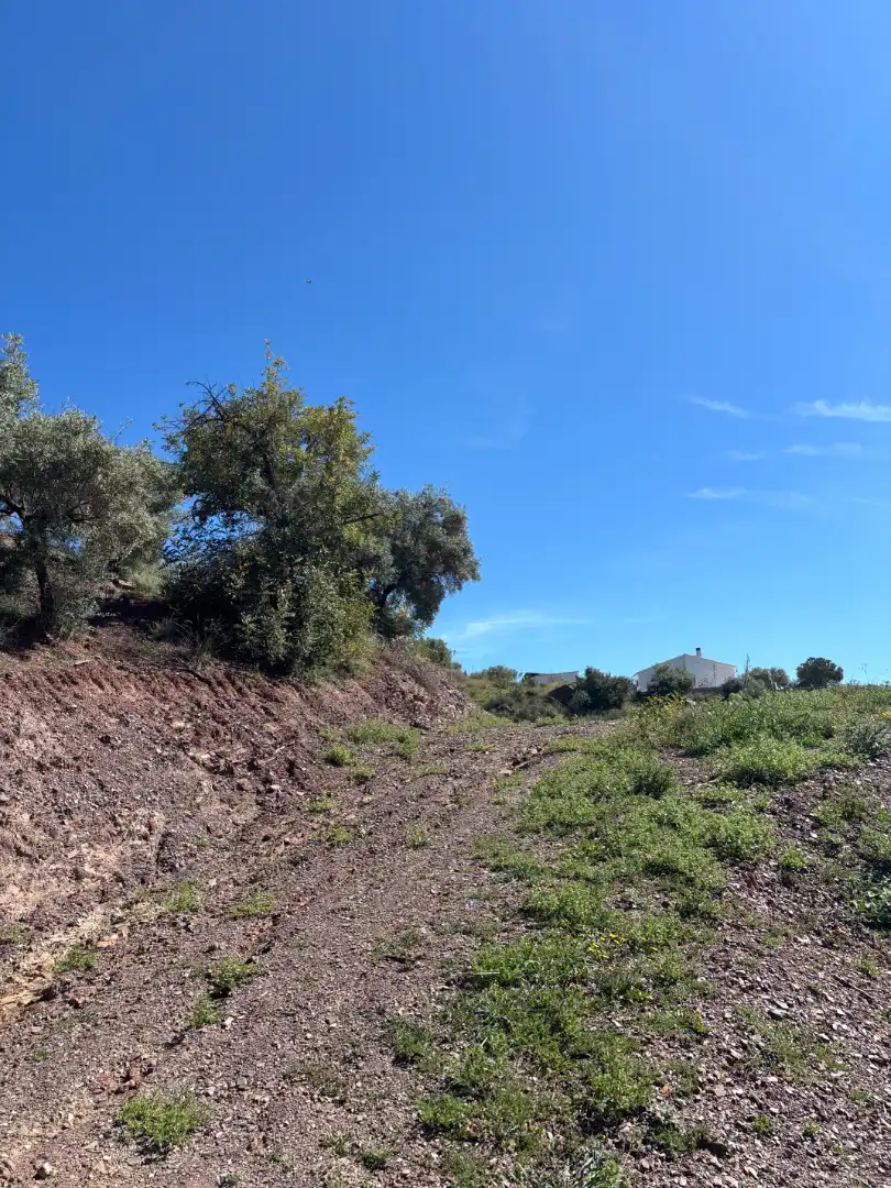 Terreno rústico en venta en Almogía, imagen 4