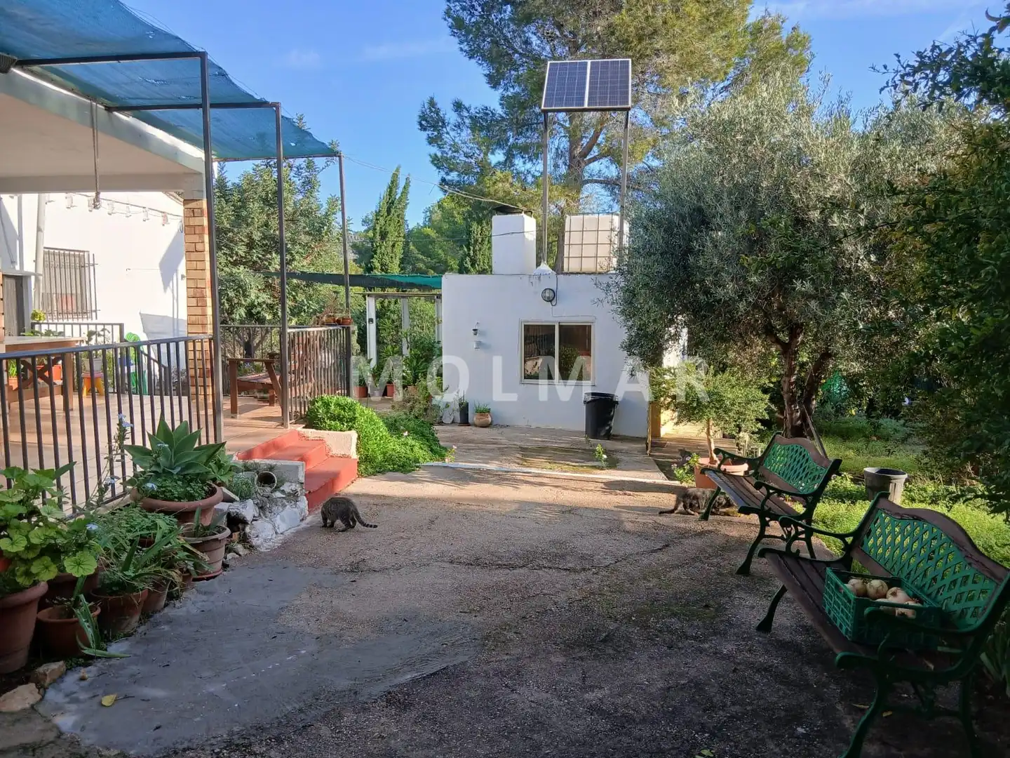 Jardín de Finca rústica en venta en Carlet con Jardín privado y Piscina