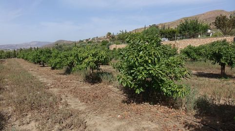 Finca Rúst. en venta en Polígonos., immagine 2