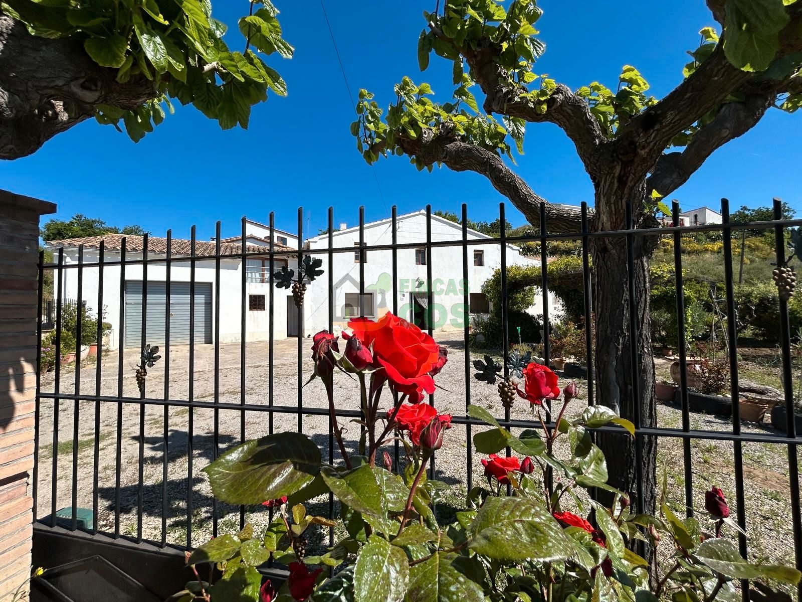 Vista exterior de Casa o xalet en venda en Font-rubí amb Jardí privat i Terrassa