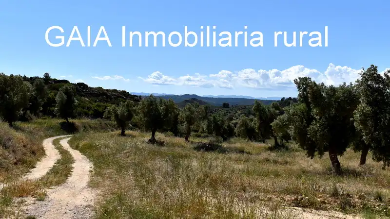 Finca rústica en venta en Maella
