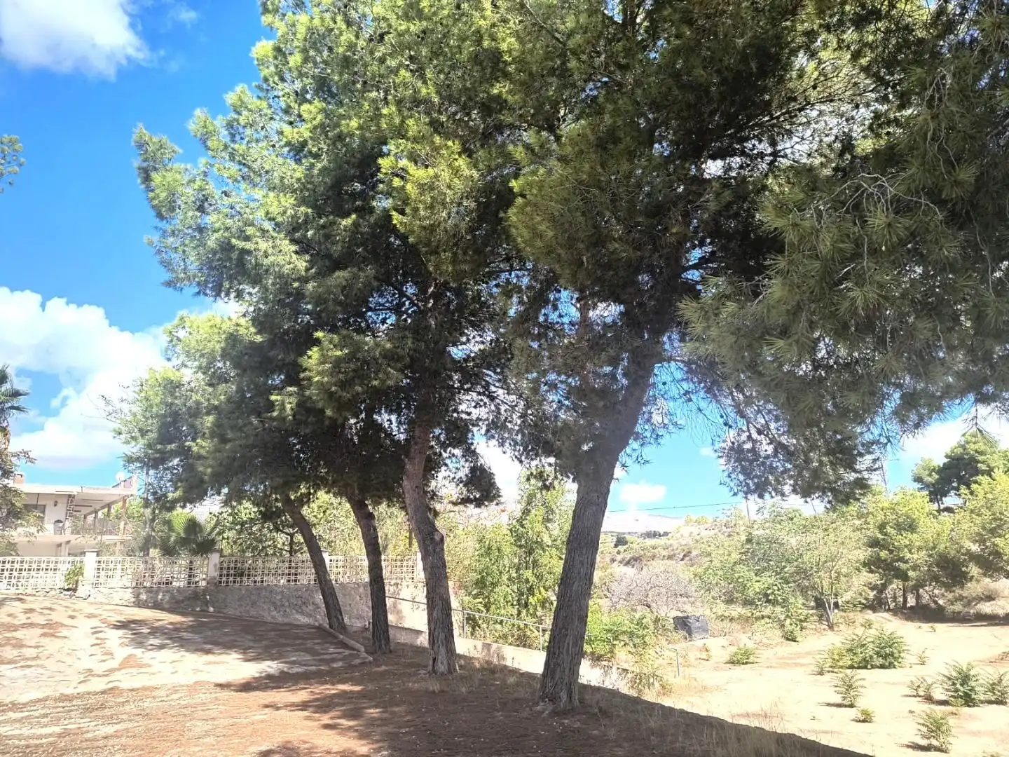 Casa o xalet en venda en Crevillent amb Aire condicionat, Terrassa i Piscina