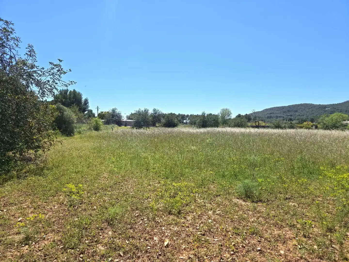 Terrenys i solars en venda a Sant Joan de Labritja, imagen 6