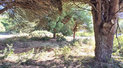 Foto 3 de Residencial en venta en Los Caños de Meca, Barbate