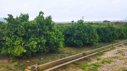 Foto 4 de Finca rústica en venda a Bonavista - Lago de San Lorenzo, Valencia