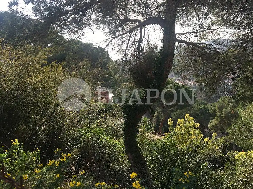 Terreny residencial en venda a Cabrils, imagen 3