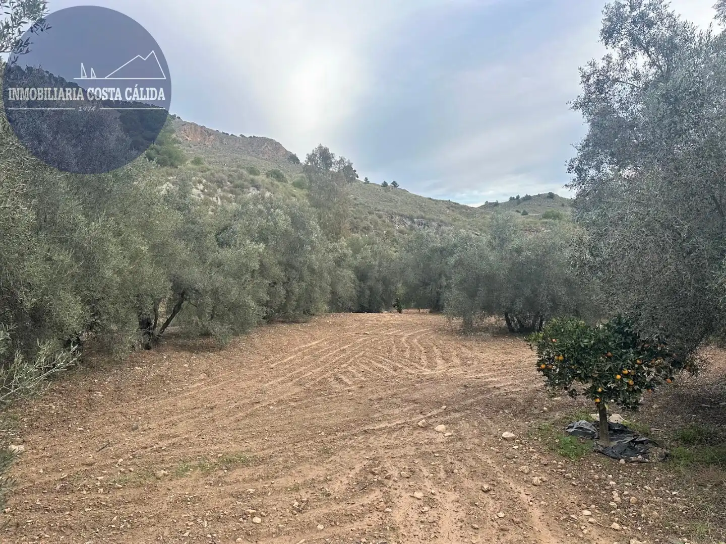 Finca rústica en venda en Águilas amb Jardí privat, Terrassa i Traster