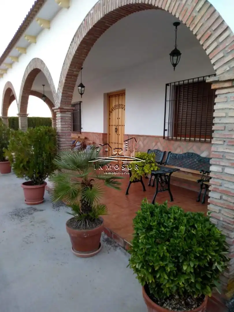 Terraza de Casa o chalet en venta en Lucena con Trastero y Piscina